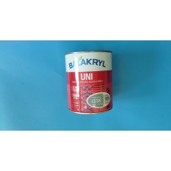 Balakryl UNI Světle šedá lesk